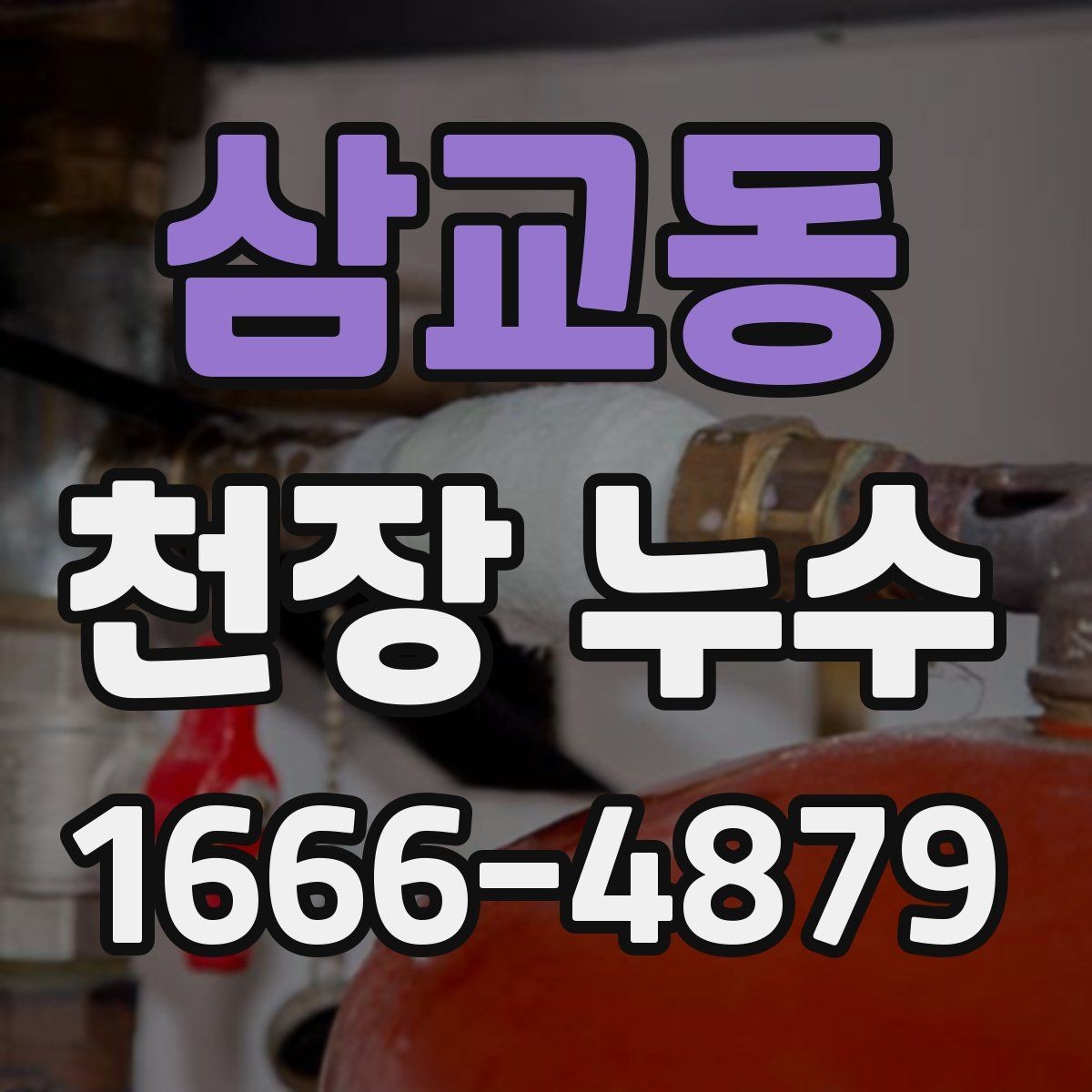 삼교동 천장 누수 집이 보내는 위험 신호 모음