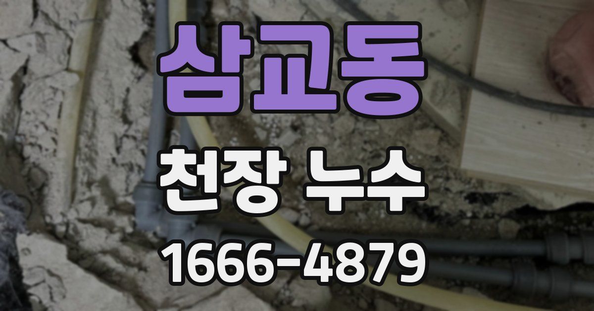 삼교동 천장 누수