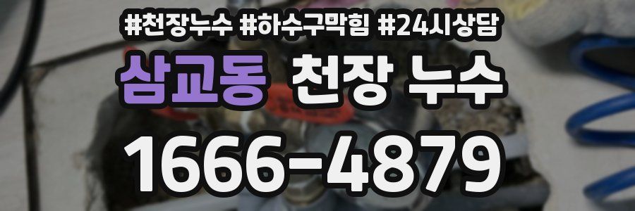 삼교동 천장 누수