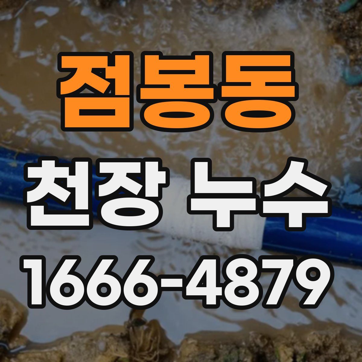 점봉동 천장 누수