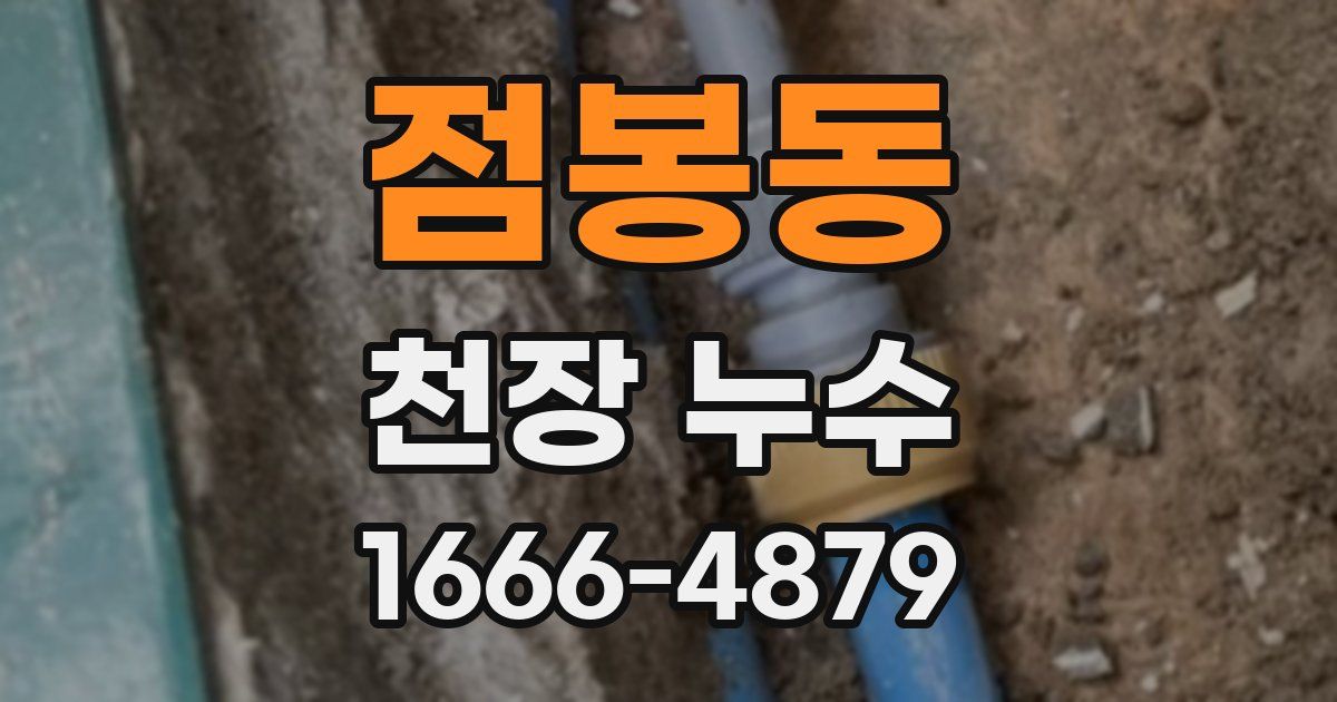 점봉동 천장 누수