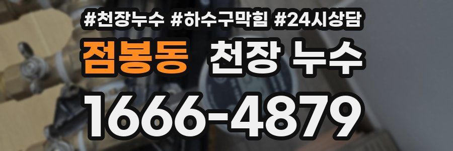 점봉동 천장 누수