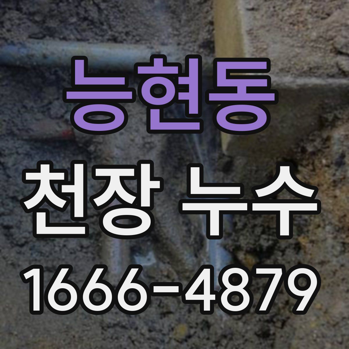 능현동 천장 누수