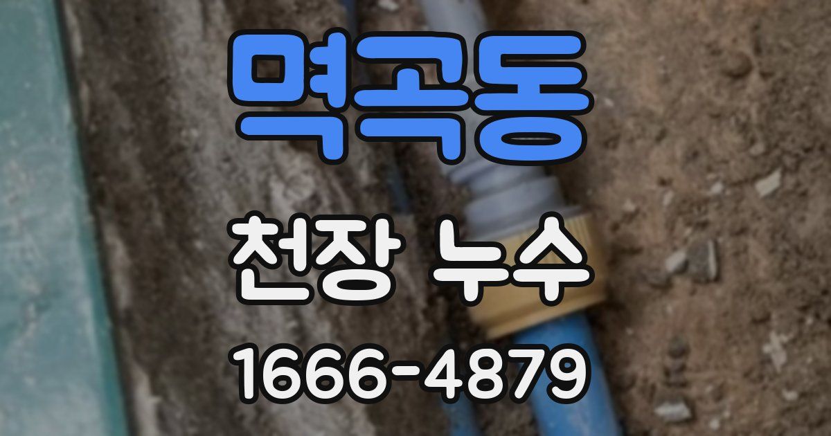 멱곡동 천장 누수