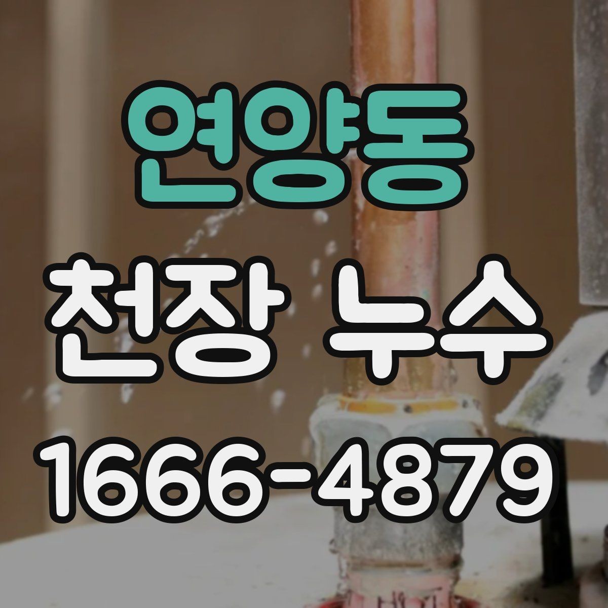 연양동 천장 누수 겨울철 결로로 착각하기 쉬운 천장 증상