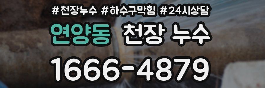 연양동 천장 누수