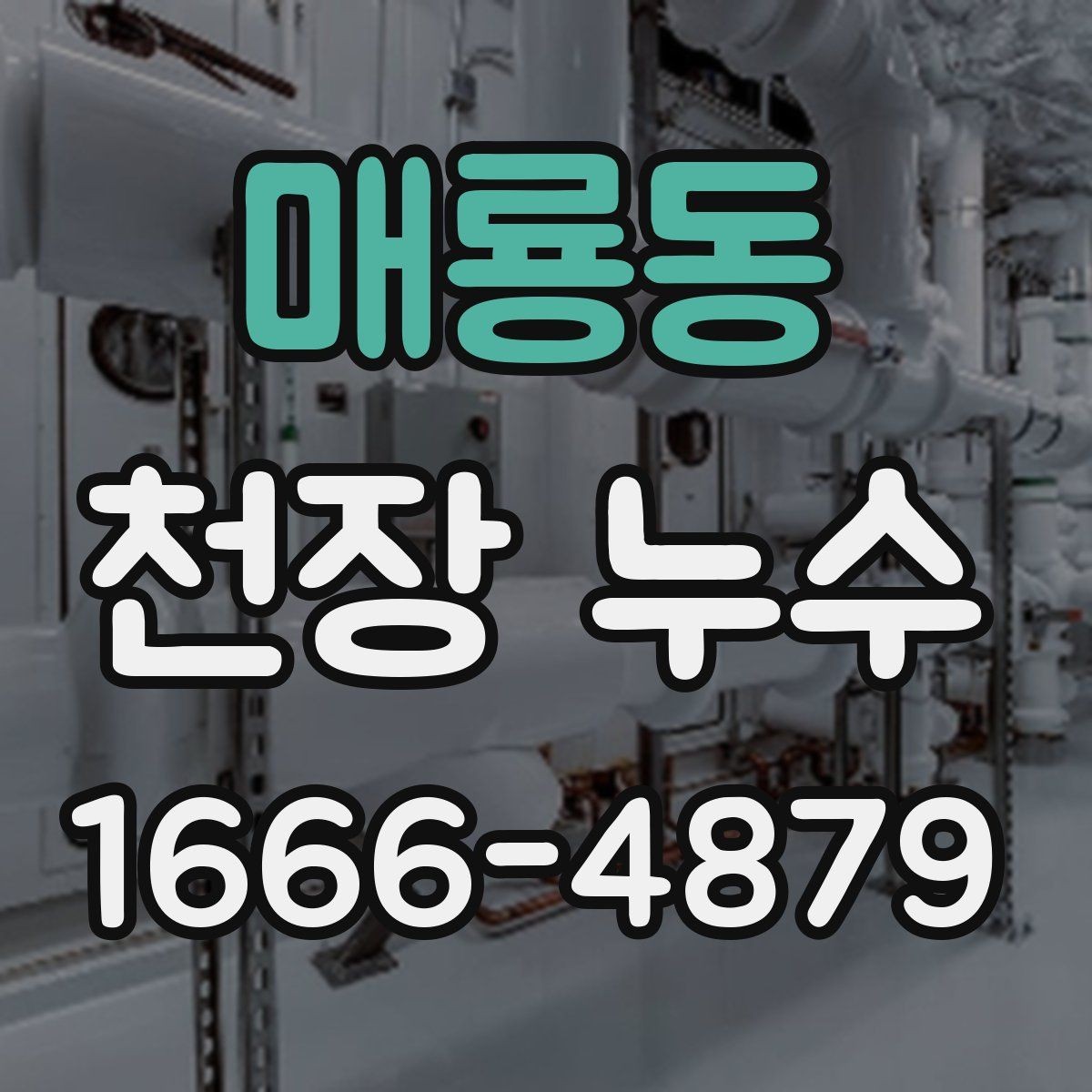 매룡동 천장 누수 피해가 커지기 전 빠른 대응