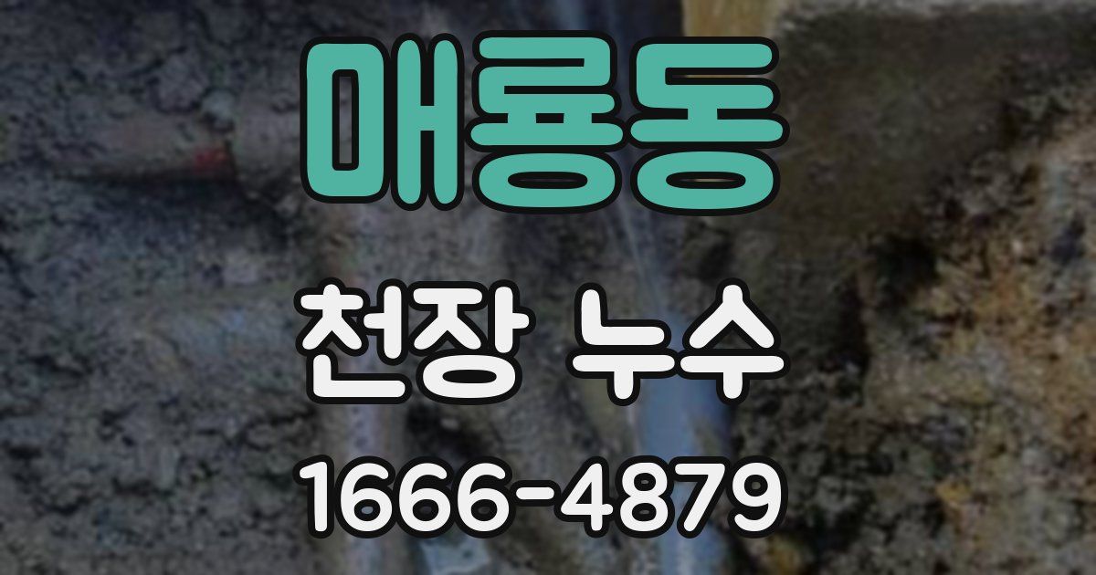 매룡동 천장 누수