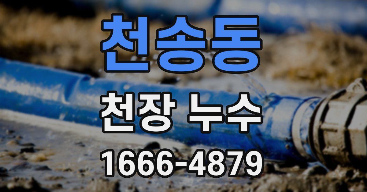 천송동 천장 누수