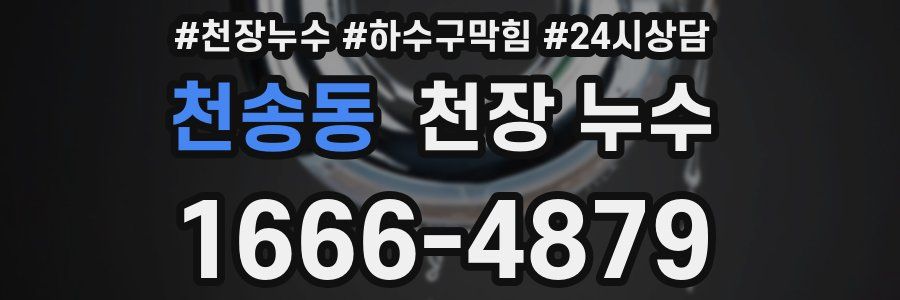 천송동 천장 누수