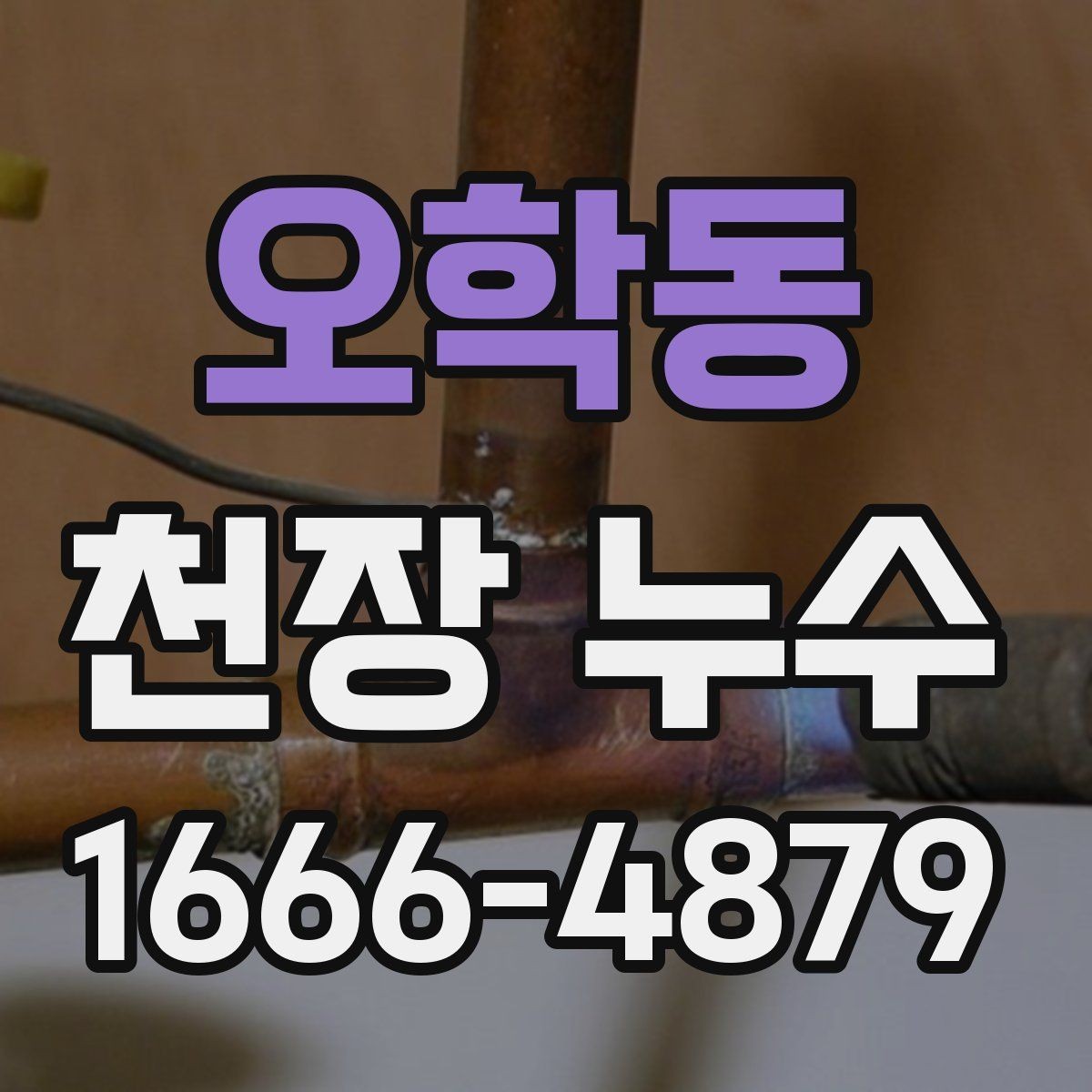 오학동 천장 누수 원인 해결 후 복구는 언제 하는 게 좋을까