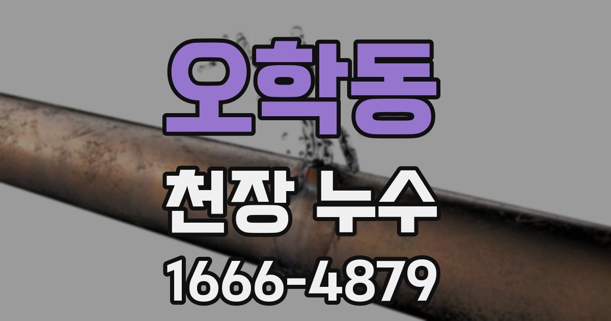 오학동 천장 누수