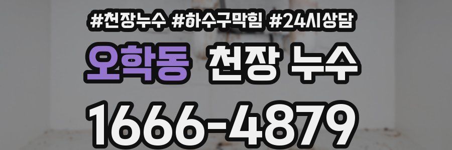 오학동 천장 누수