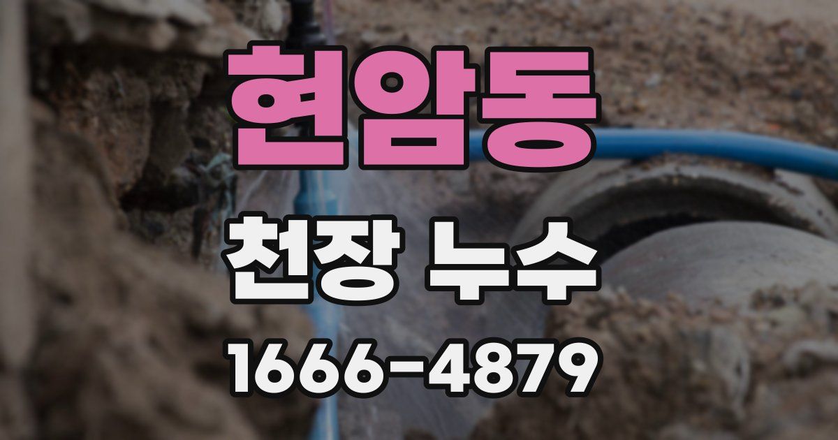 현암동 천장 누수