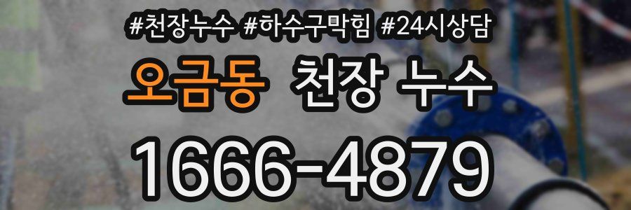 오금동 천장 누수