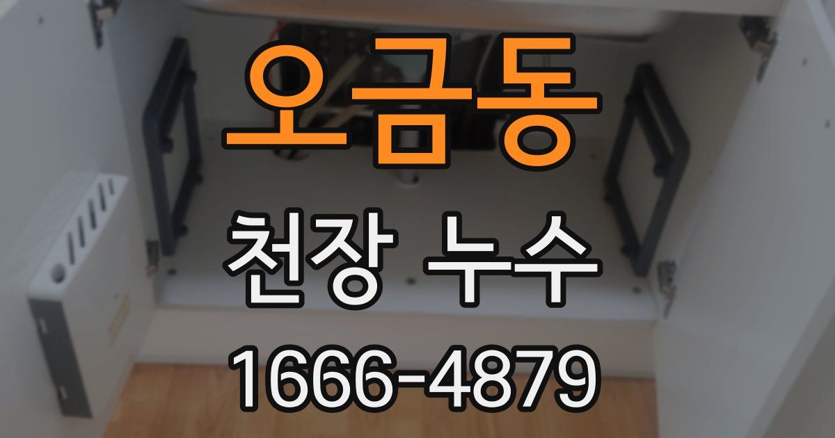 오금동 천장 누수