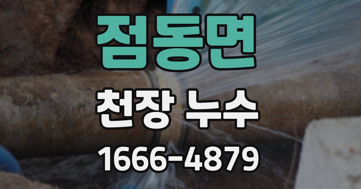 점동면 천장 누수