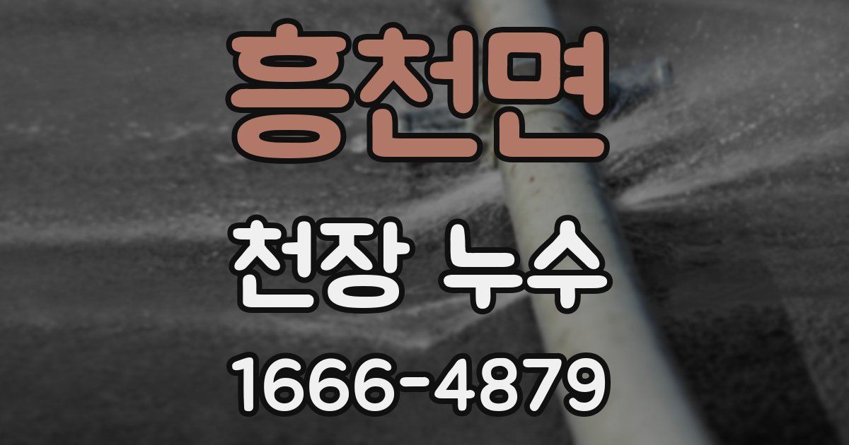 흥천면 천장 누수