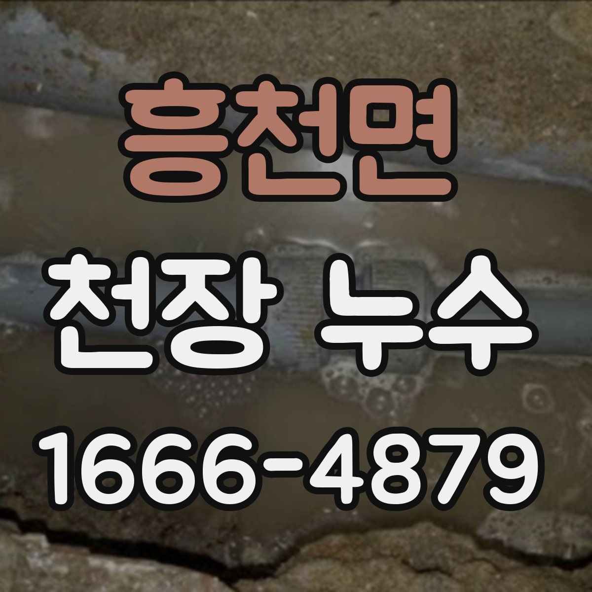 흥천면 천장 누수