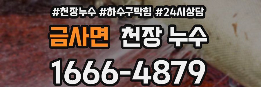 금사면 천장 누수