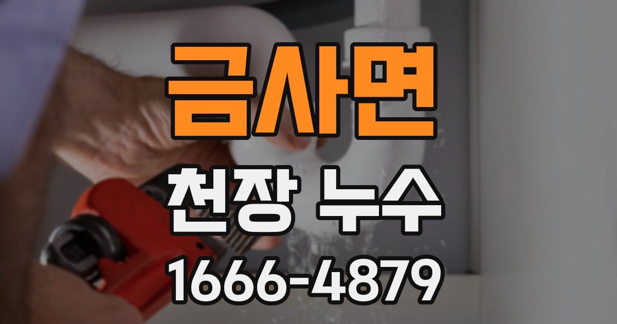 금사면 천장 누수