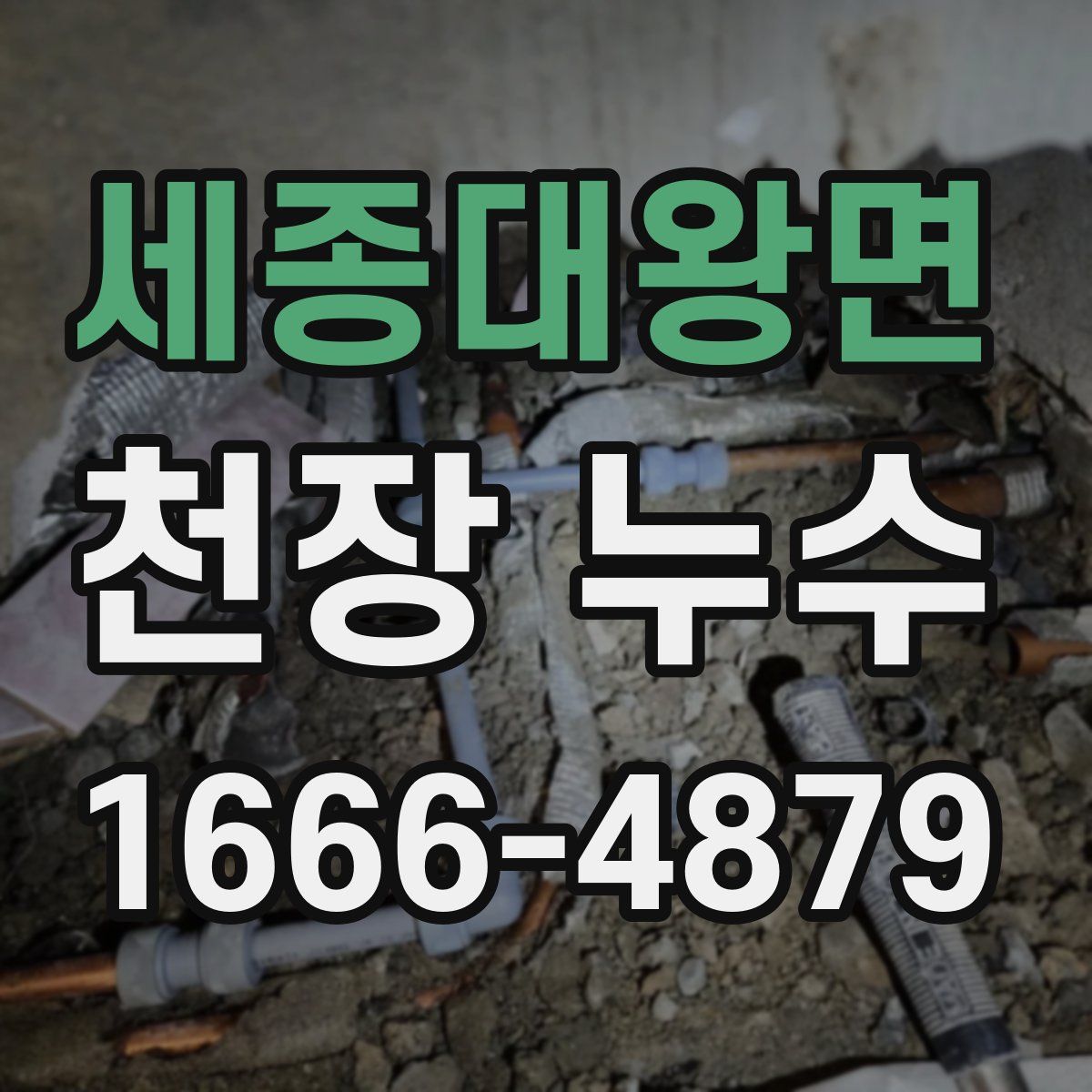 세종대왕면 천장 누수