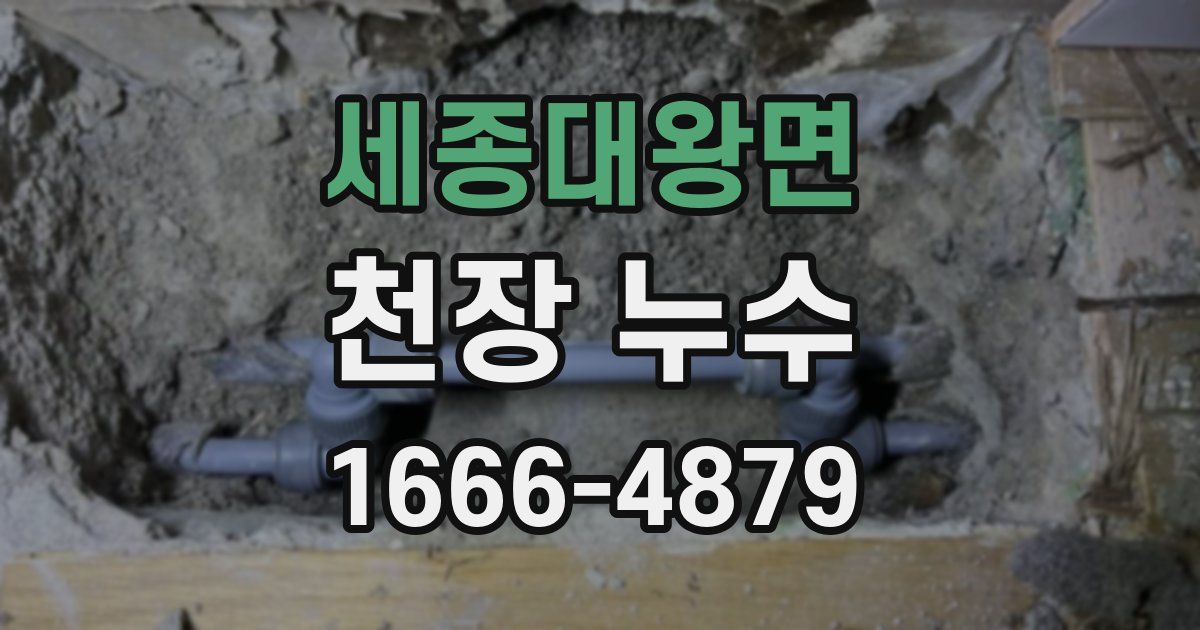 세종대왕면 천장 누수