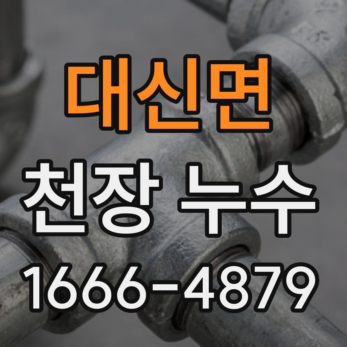 대신면 천장 누수 곰팡이 번식 환경이 생기기 전