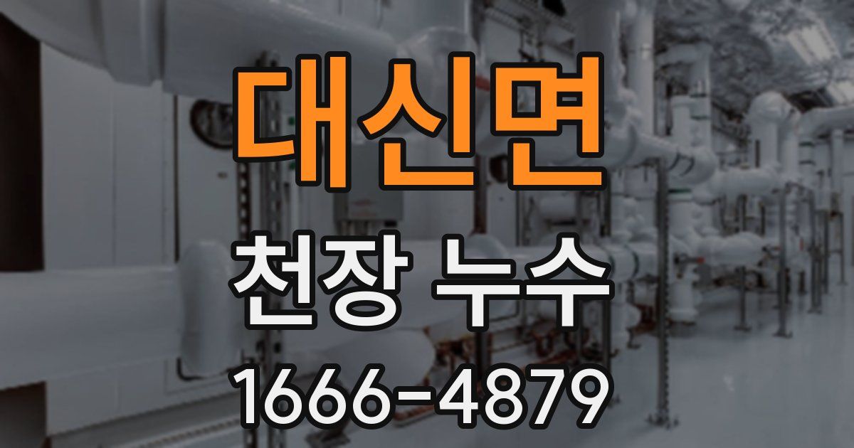 대신면 천장 누수