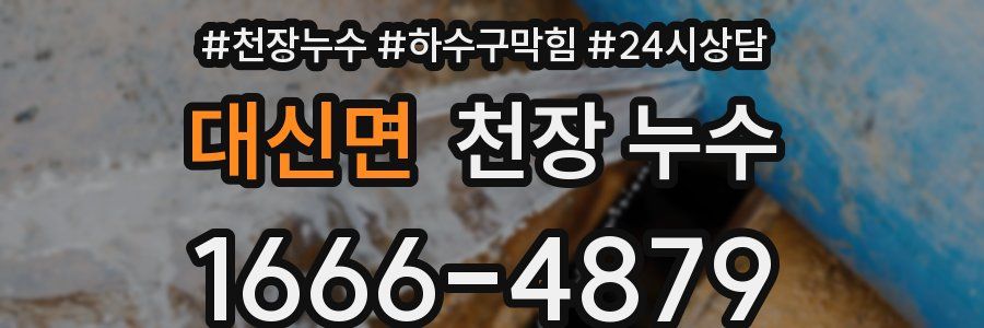 대신면 천장 누수