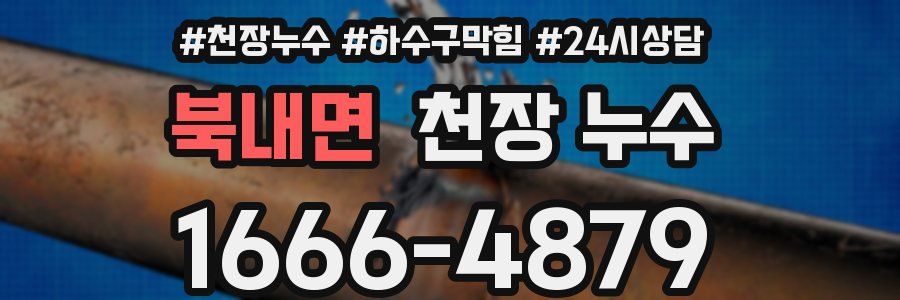 북내면 천장 누수