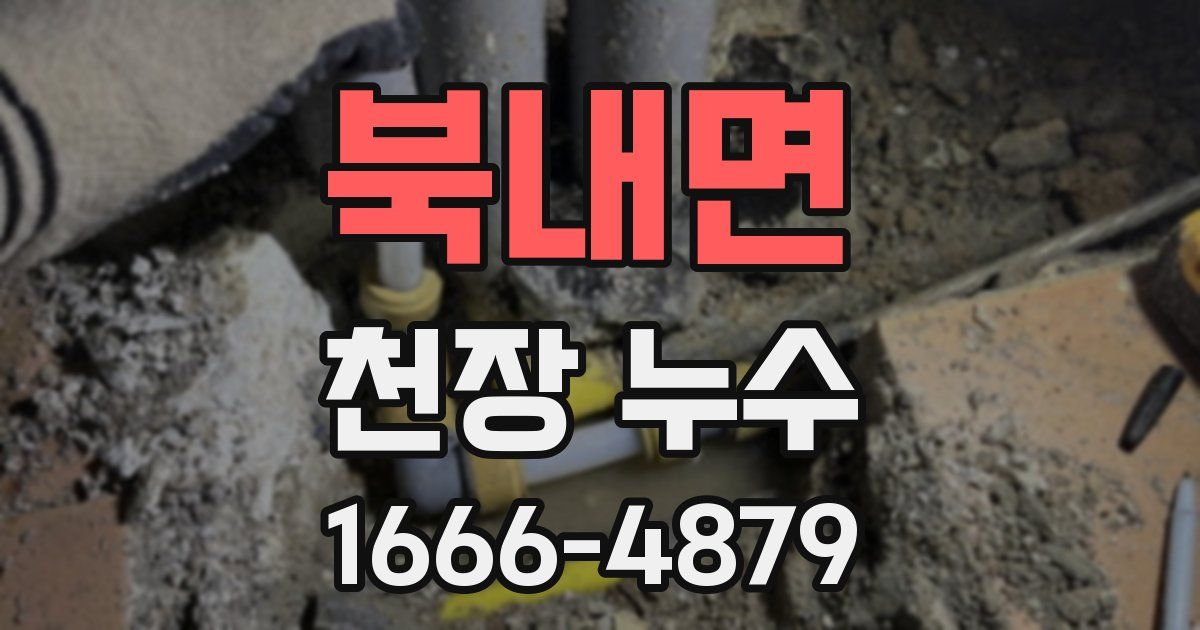 북내면 천장 누수