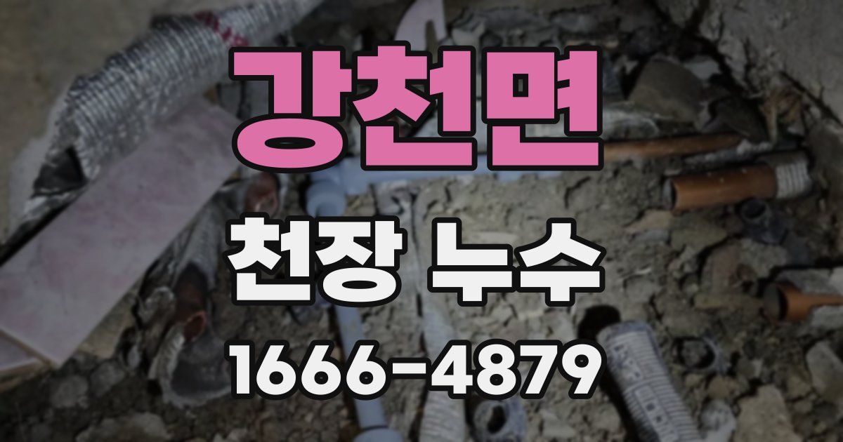 강천면 천장 누수