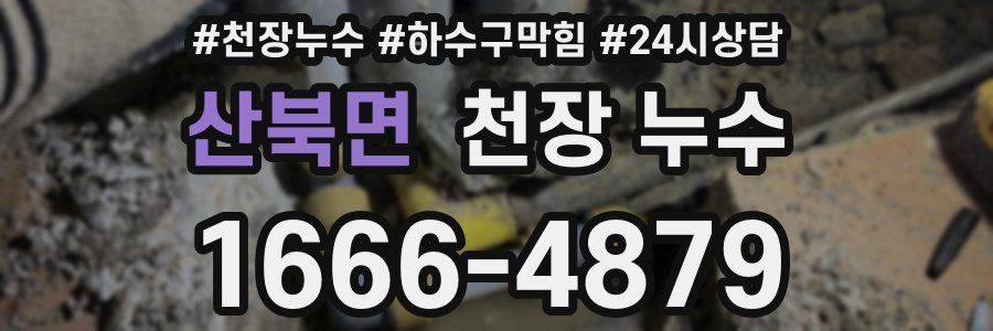 산북면 천장 누수