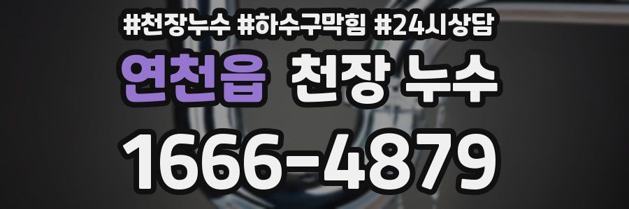 연천읍 천장 누수