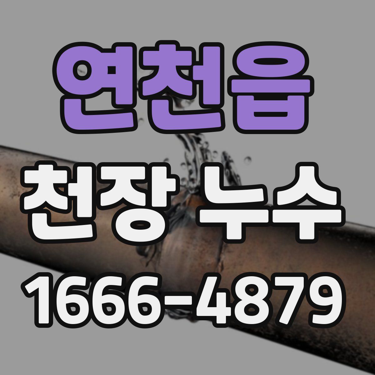 연천읍 천장 누수