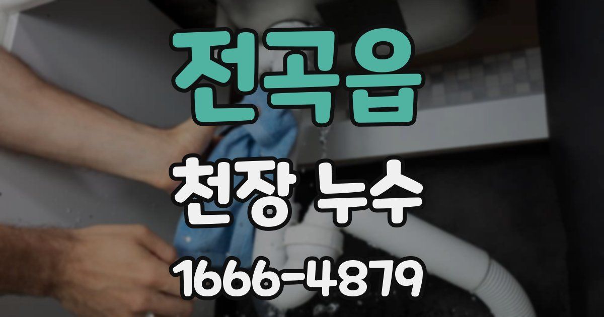 전곡읍 천장 누수