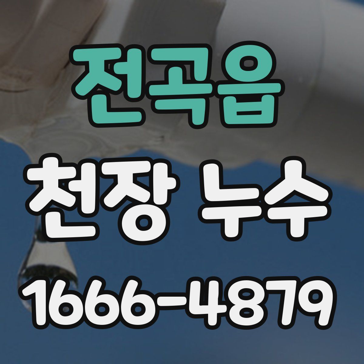 전곡읍 천장 누수