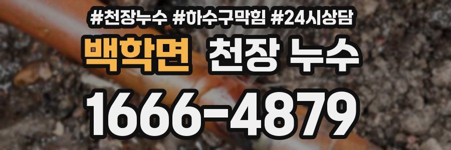 백학면 천장 누수