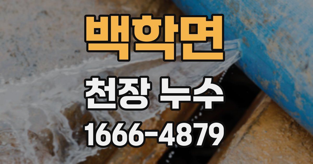 백학면 천장 누수