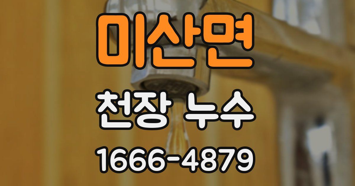 미산면 천장 누수