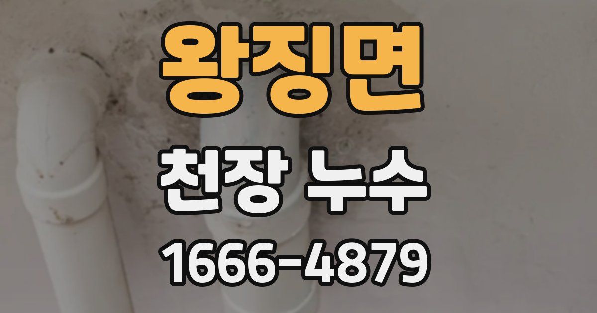 왕징면 천장 누수