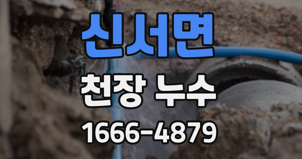 신서면 천장 누수