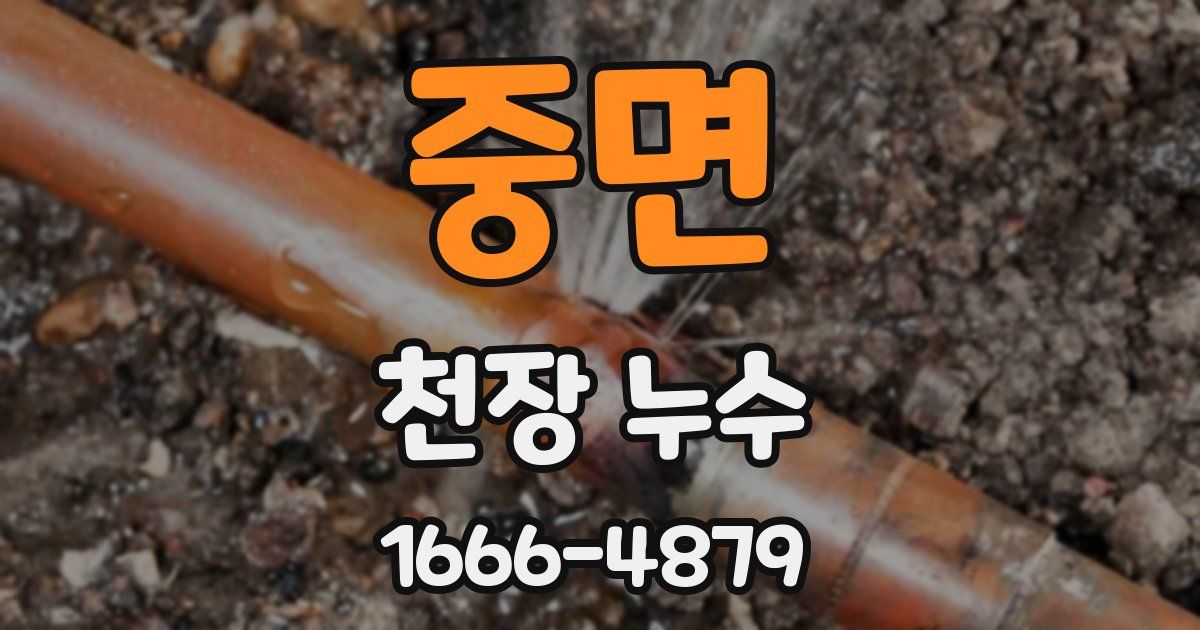 중면 천장 누수