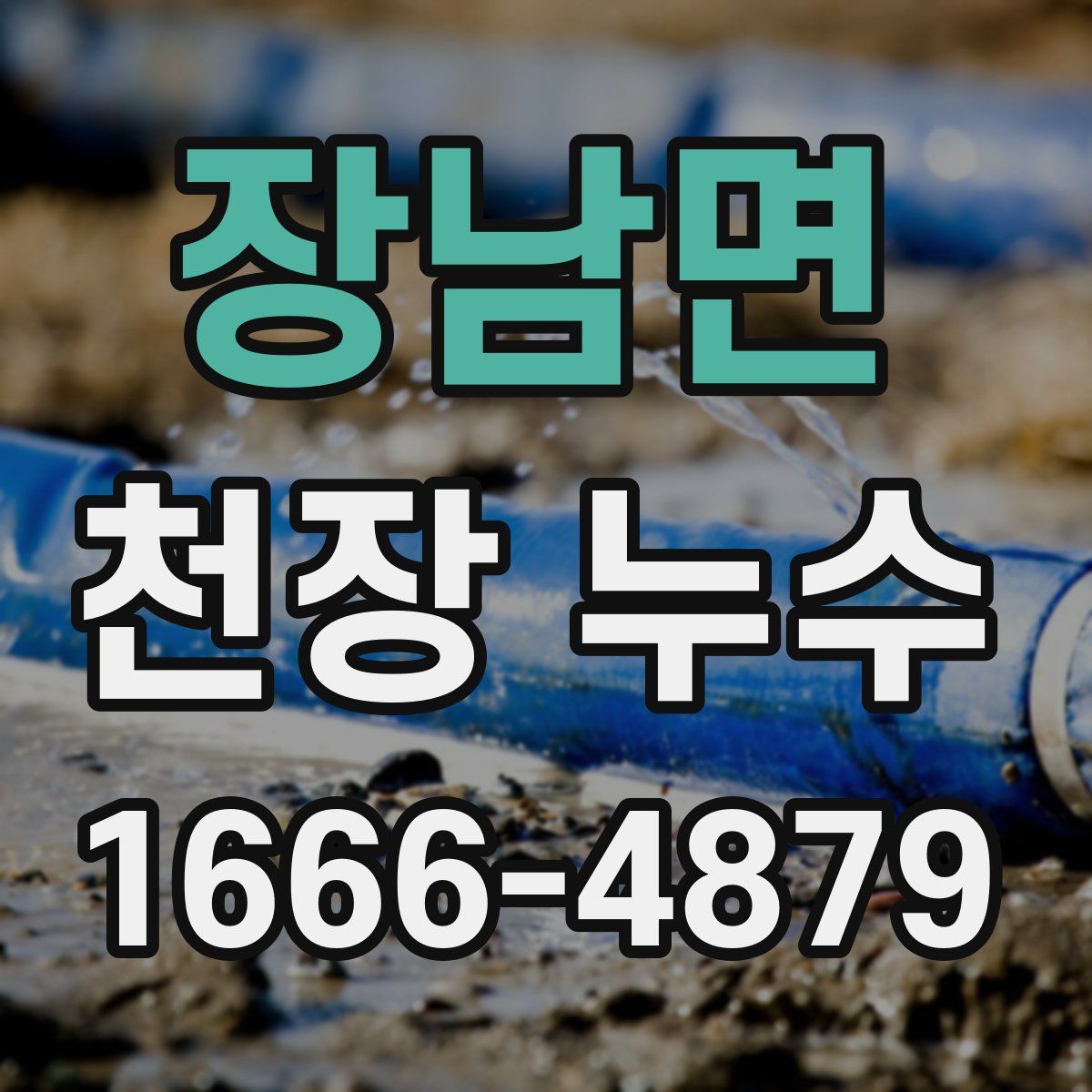 장남면 천장 누수