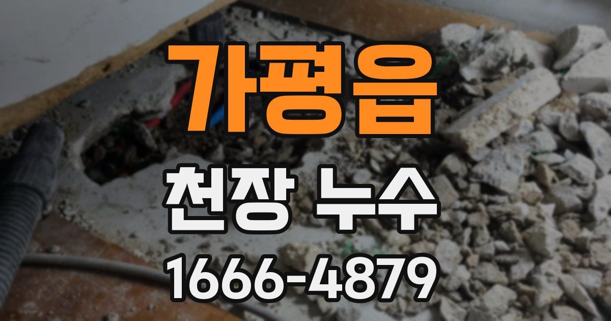 가평읍 천장 누수