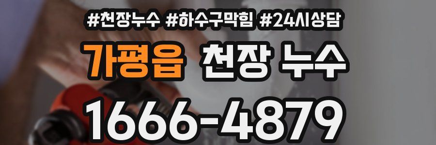 가평읍 천장 누수