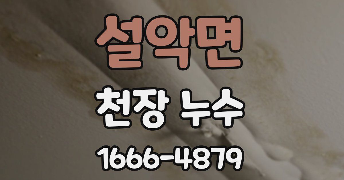 설악면 천장 누수