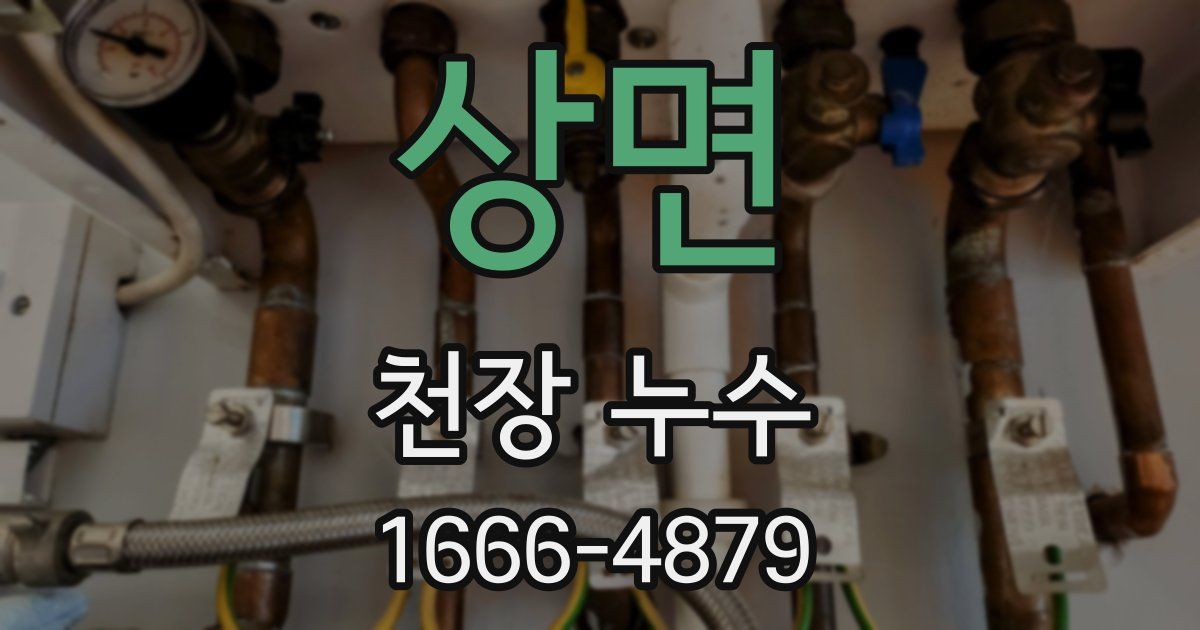 상면 천장 누수