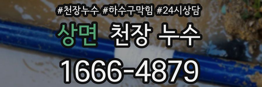 상면 천장 누수